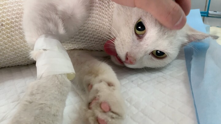 Di tengah hari-hari ketika penglihatanku perlahan memudar, justru dia yang memberiku harapan.