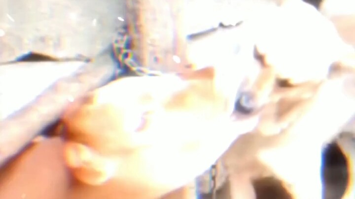 “The Taboo Love Between a Cow and a Dog”