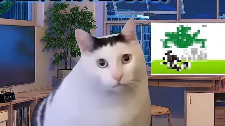 【Cat meme】Daily appreciation of Nantong literature