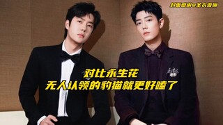 【博君一肖】对比被立入禁止认领的永生花～无人认领的豹猫就更好嗑了
