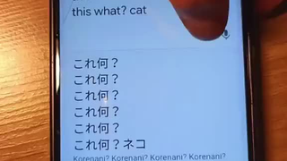 ？？？？？