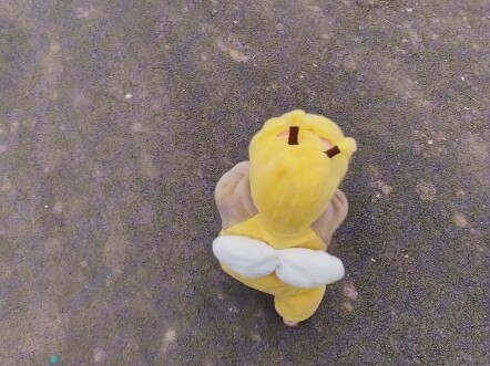 Ride in my car, follow my Little Bee tonight?