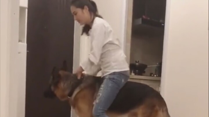 Hết ca làm, tiếp viên hàng không về nhà liền làm chuyện này?