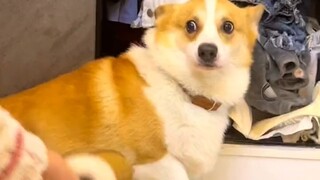 So, should I grin or not?