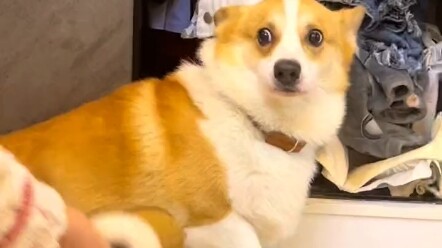 So, should I grin or not?