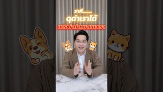 ราศี..ด่าเราได้ แต่อย่าด่าหมาแมวเรา #หมอช้าง #ราศี #คนรักหมา #คนรักแมว #ดวง