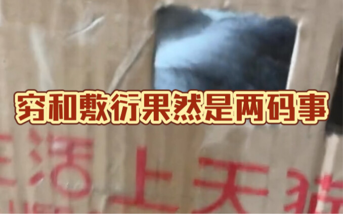 穷和敷衍果然是两码事