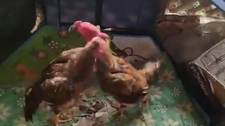 Just Spinning Around.