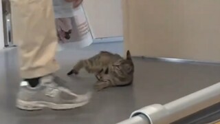 It was the only one listening to the lecture and got kicked out.