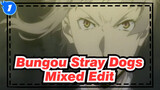 Bungou Stray Dogs Mixed Edit_1