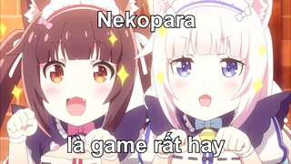 Nekopara Là Game Rất Hay