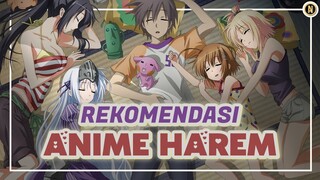 10 rekomendasi anime harem terbaik