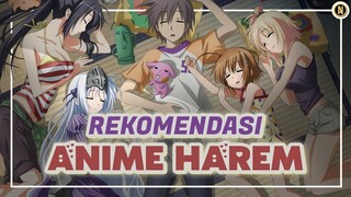 10 rekomendasi anime harem terbaik