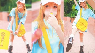 [Marshmallow Killer] Original Choreography || Cells at Work! - Platelet Song! The solo version we pr