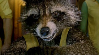 Kapten Avengers tidak lain adalah Rocket Raccoon! Thor: Dia terlihat seperti pemimpin yang mulia!