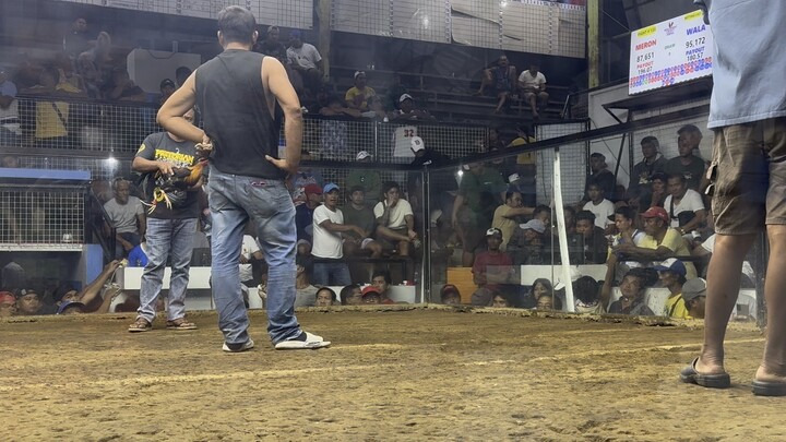 1HIT DELETE SWEATER GILMORE