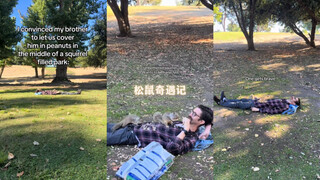 松鼠奇遇记🐿️