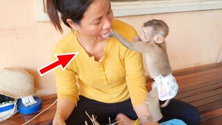 Obedient Baby Lion Very Handsome Stand Up Take Fruit From Mom's Mouth Eating So Delicious