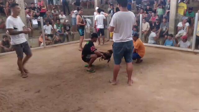 native line nag wawalis