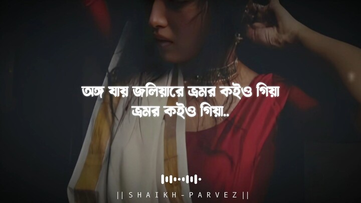 ভ্রমর কইও গিয়া SLOWEDnREVERB Bangla Lofi Lyrics 2024