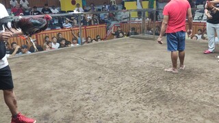 first fight win 3 hits sa LDB