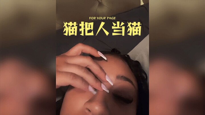 Sebenarnya, kucing memandang manusia seperti sesama kucing