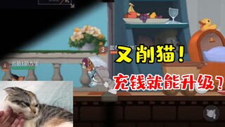 托普斯能够瞬移了，猫玩家什么时候才能站起来？