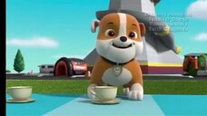 paw patrol Musim 8 Episode 22 23 24 Bahasa indonesia