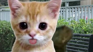 الدمية مربوطة ومفقودة، فطلبت المساعدة من قط الموز