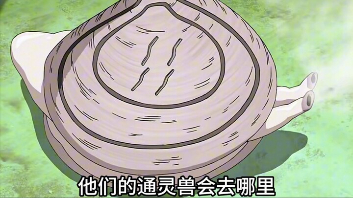 主人死后他们的通灵兽会去哪里？