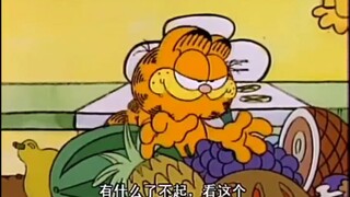 Suka memasak? Kalau begitu peliharalah kucing Garfield!