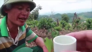 MÓN ĂN TÂY BẮC - THẰN LẰN NGUYÊN CON