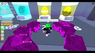 HOW TO GET DOMINUS HUGE IN PET SIMULATOR! (TUTORIAL PLUS NEWCODES)