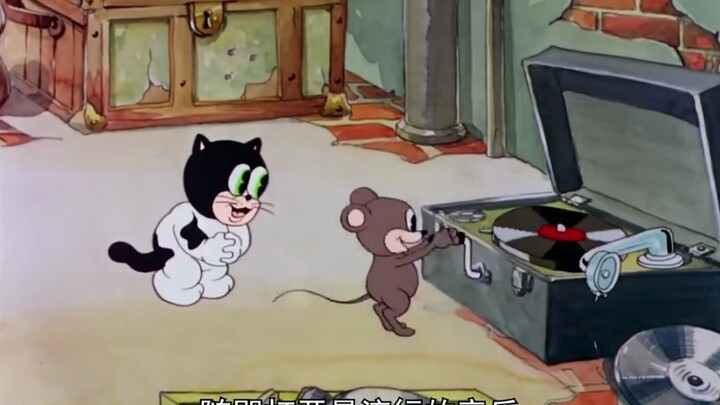 If a mouse saves a cat’s life, then they might be able to live together in peace from now on.