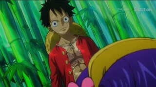 Luffy adalah orang yg paling menderita!!!