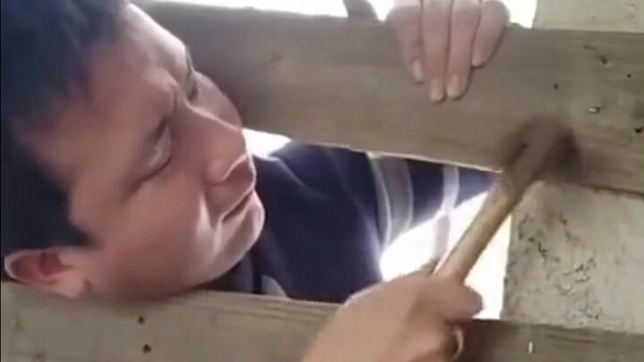 “Tembok tertinggi IQ manusia!”