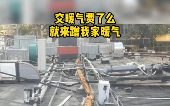 دفعت فاتورة التدفئة؟ تعال اتسلّط على تدفئة بيتي! # سلوكيات الحيوانات المحيّرة #