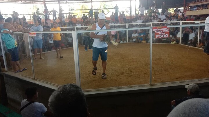 lumalaban kahit na pilayan !! my boston!