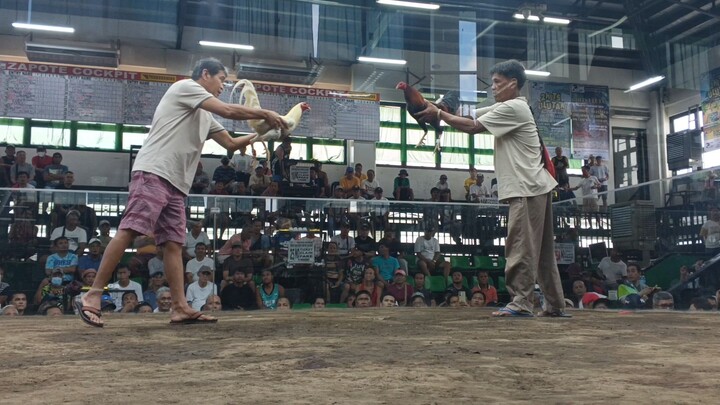 Zapote Cockpit Arena 2 hits ulutan 1st fight Crispin handler March 7,2026