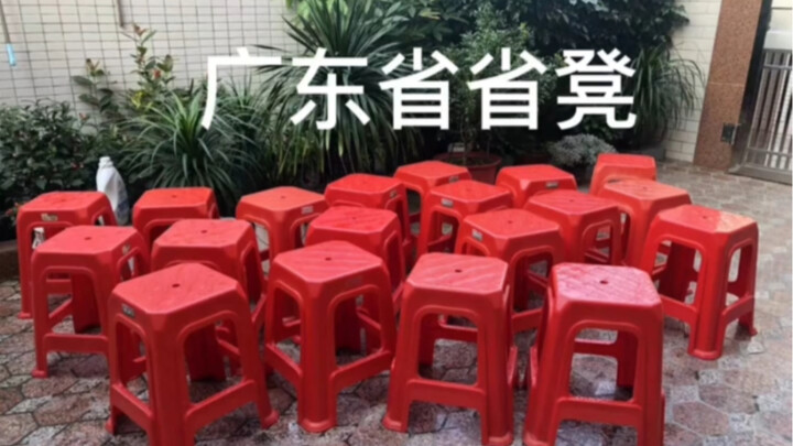 How did the Cantonese achieve such unity in this regard?