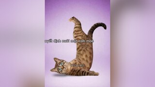 và sau đó tôi bị ckầm kảm 🤧mèocute mèo cat catlover meow meo