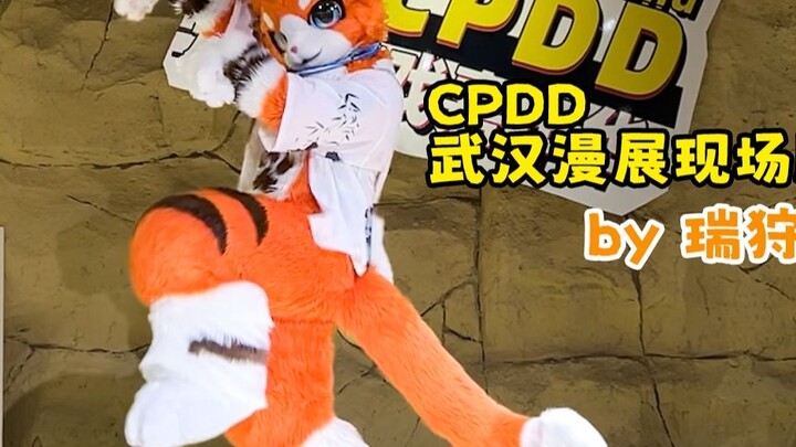 QueenCard Furry Version by Ruishou The 2nd Wuhan CPDD Animation and Game Carnival Live Version