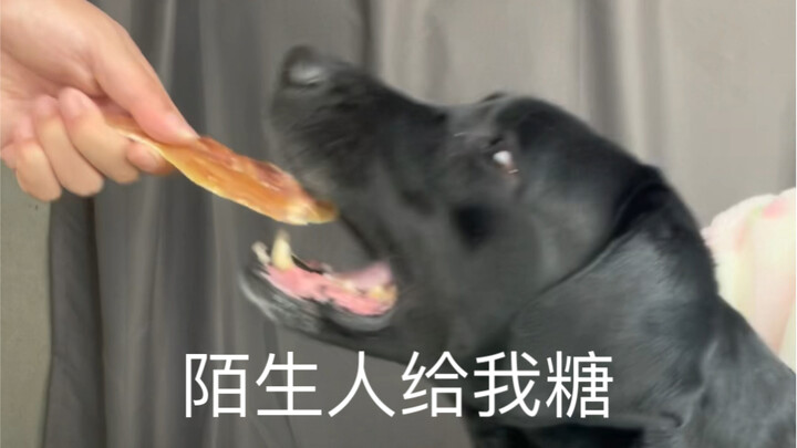 غريب عطاني حلاوة، لازم أجربها!