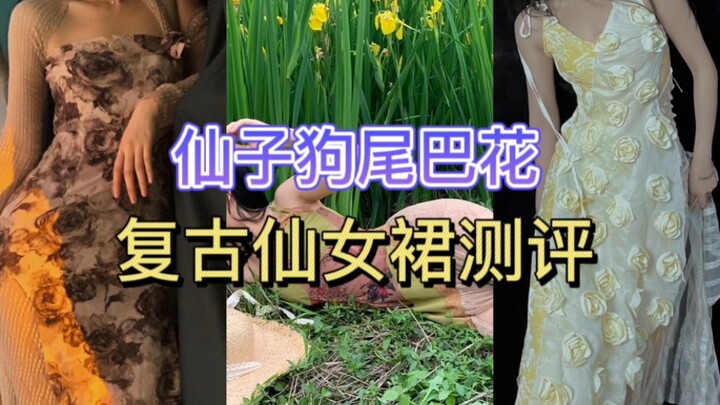 รีวิวร้านดัง EP.31 “ดอกหญ้าหางสุนัขนางฟ้า” | ใส่ชุดชั้นในนอกเสื้อ? กระโปรงนางฟ้าที่ดีไซน์ออกจะแปลกๆ 