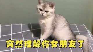 猫：感谢你百忙之中抽空敷衍我！！！