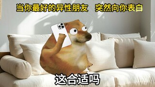 当你最好的异性兄弟，突然向你表白
