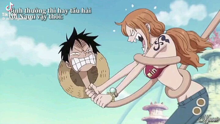 luffy hay chêu nami vậy thôi ,còn lúc gặp nguy hiểm luôn là người bảo kê