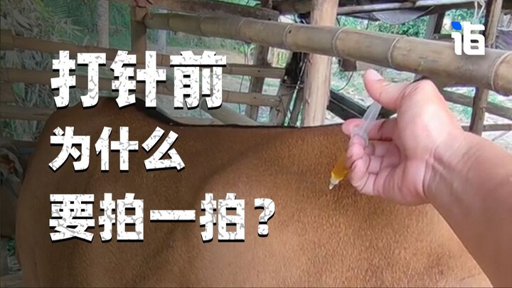 Tại sao phải vỗ nhẹ trước khi tiêm?