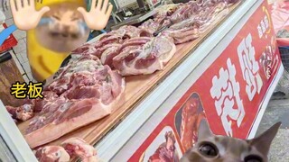 当16个外甥放假齐聚舅舅家