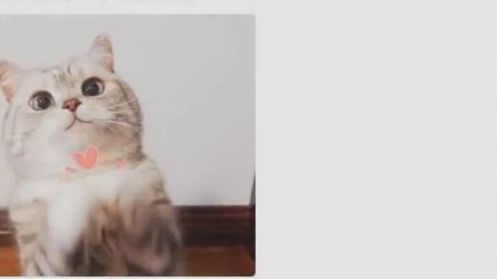 《It’s been two years. Do you know me? 》